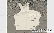Shaded Relief Map of Ortiz, darken