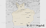 Shaded Relief Map of Ortiz, desaturated
