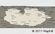 Shaded Relief Panoramic Map of Guarico, darken