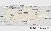Shaded Relief Panoramic Map of Guarico, desaturated