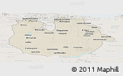 Shaded Relief Panoramic Map of Guarico, lighten