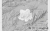 Gray Map of Crespo