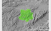 Political Map of Crespo, desaturated