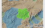Political Map of Crespo, semi-desaturated