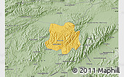 Savanna Style Map of Crespo