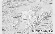 Silver Style Map of Crespo