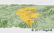 Savanna Style Panoramic Map of Iribarren