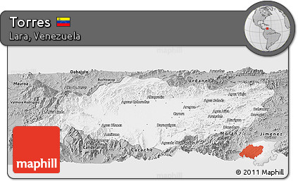 Gray Panoramic Map of Torres
