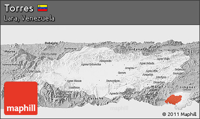 Gray Panoramic Map of Torres