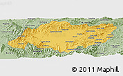 Savanna Style Panoramic Map of Torres