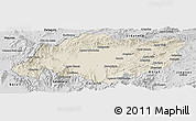 Shaded Relief Panoramic Map of Torres, desaturated