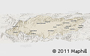 Shaded Relief Panoramic Map of Torres, lighten