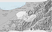 Gray 3D Map of Caracciolo Parra Olmedo