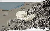 Shaded Relief 3D Map of Caracciolo Parra Olmedo, darken