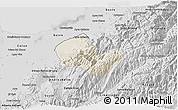 Shaded Relief 3D Map of Caracciolo Parra Olmedo, desaturated