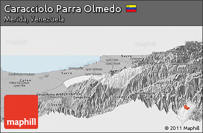 Gray Panoramic Map of Caracciolo Parra Olmedo