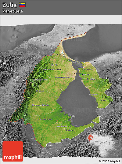 Satellite 3D Map of Zulia, desaturated