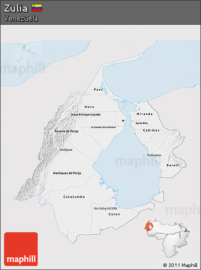 Silver Style 3D Map of Zulia, single color outside