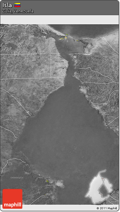 Satellite 3D Map of Isla, desaturated