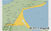 Savanna Style 3D Map of Paez