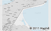 Silver Style 3D Map of Paez