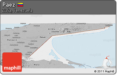 Gray Panoramic Map of Paez