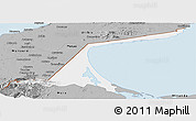 Gray Panoramic Map of Paez