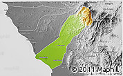Physical 3D Map of Valmore Rodriguez, desaturated
