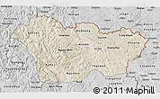 Shaded Relief 3D Map of Cao Bang, desaturated