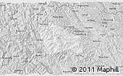 Silver Style 3D Map of Nguyen Binh