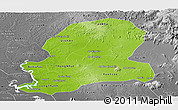 Physical Panoramic Map of Dong Nai, desaturated