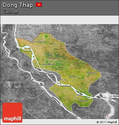 Satellite 3D Map of Dong Thap, desaturated