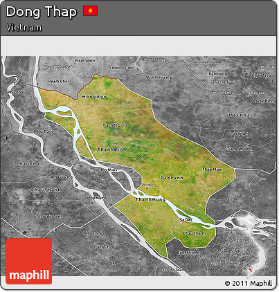 Satellite 3D Map of Dong Thap, desaturated