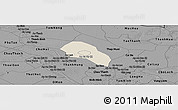 Shaded Relief Panoramic Map of Cao Lanh, darken, desaturated