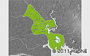 Physical 3D Map of Ho Chi Minh City, desaturated