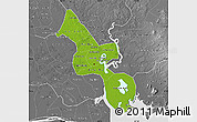 Physical Map of Ho Chi Minh City, desaturated