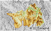 Physical 3D Map of Muong Lay, lighten, desaturated