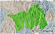 Political 3D Map of Muong Lay, lighten, semi-desaturated