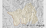 Shaded Relief Map of Muong Lay, desaturated