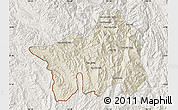 Shaded Relief Map of Muong Lay, lighten