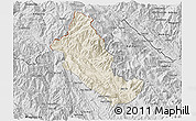 Shaded Relief 3D Map of Phong Tho, desaturated