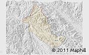 Shaded Relief 3D Map of Phong Tho, lighten, desaturated