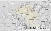 Shaded Relief 3D Map of Bao Loc, desaturated