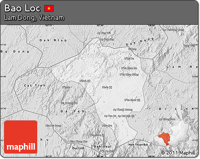 Silver Style Map of Bao Loc