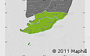 Physical Map of Ngoc Hien, desaturated