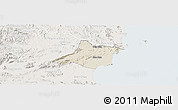 Shaded Relief Panoramic Map of Quynh Luu, lighten