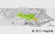 Physical Panoramic Map of Song Hinh, lighten, desaturated