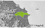 Physical 3D Map of Son Tinh, desaturated