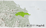 Physical 3D Map of Son Tinh, lighten, semi-desaturated