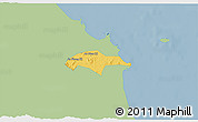 Savanna Style 3D Map of Son Tinh, single color outside